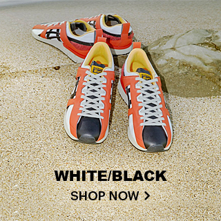 asics tiger corporation