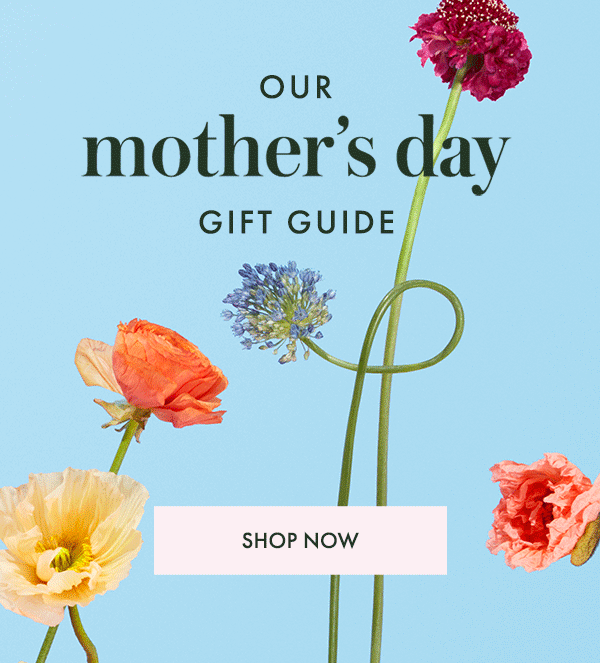 Kate Spade: our mother's day gift guide is here, plus save up to $100 ...