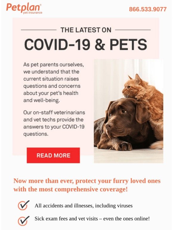 COVID-19: You asked, we answered...