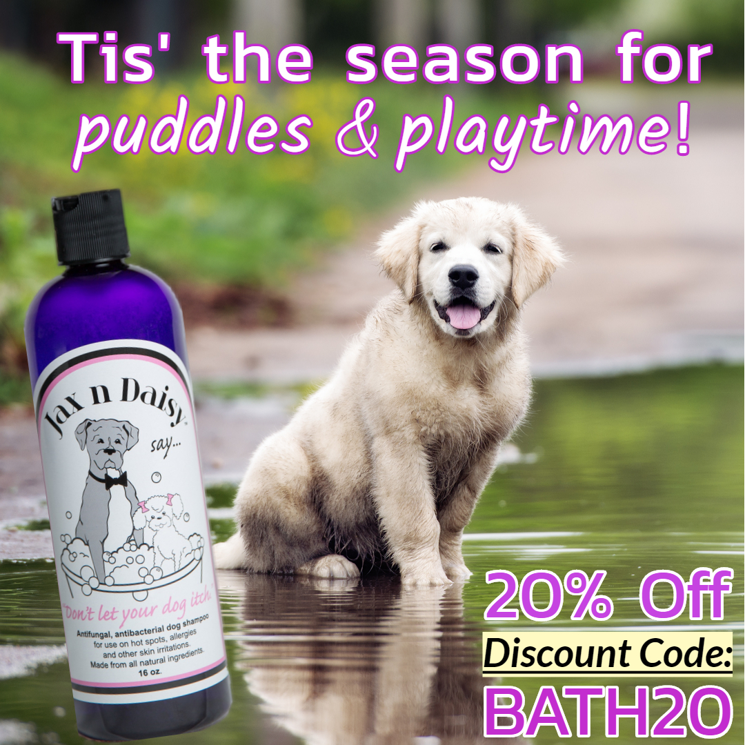 jax n daisy coupon code