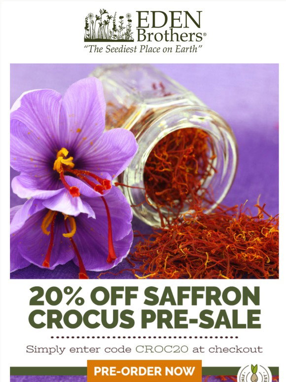 Eden Brothers Seed Company Grow Your Own Saffron ! 20 Off PreOrders