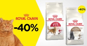 Royal Canin: -40% на 2-й сухой корм для кошек