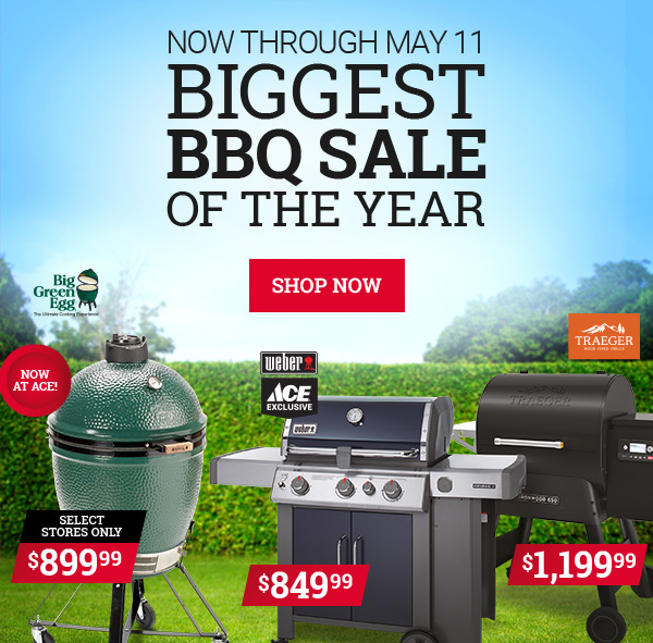 ace hardware bbq grill sale