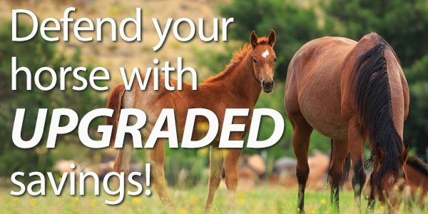 Defend your horse with UPGRADED Savings! 25% Off or 30% Off Orders over $119*