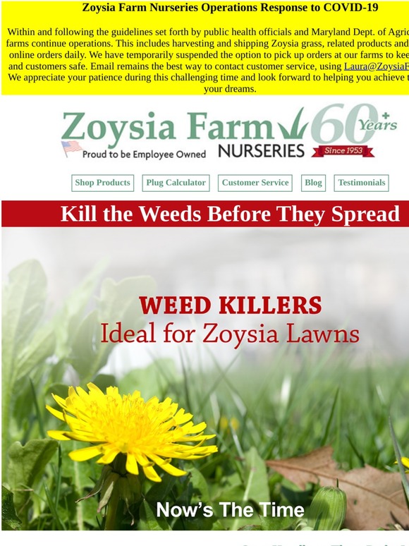 Zoysia Farms Kill Weeds Before They Spread! Milled