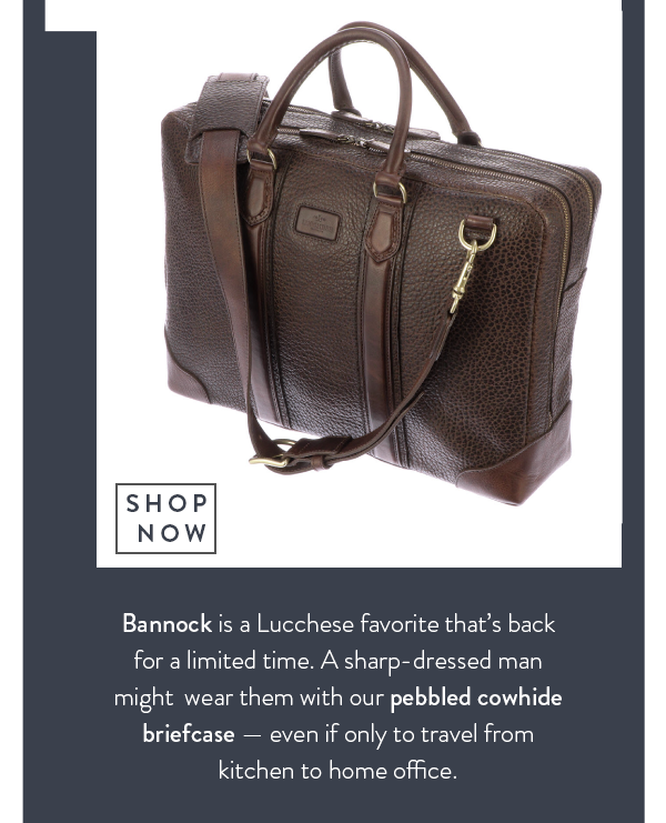lucchese briefcase