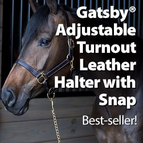 Gatsby® Adjustable Turnout Leather Halter with Snap