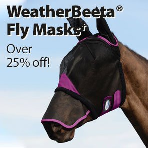 WeatherBeeta® Fly Masks†