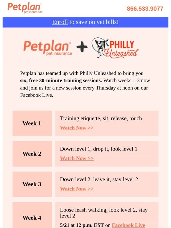 Free online pet training from Petplan + Philly Unleashed