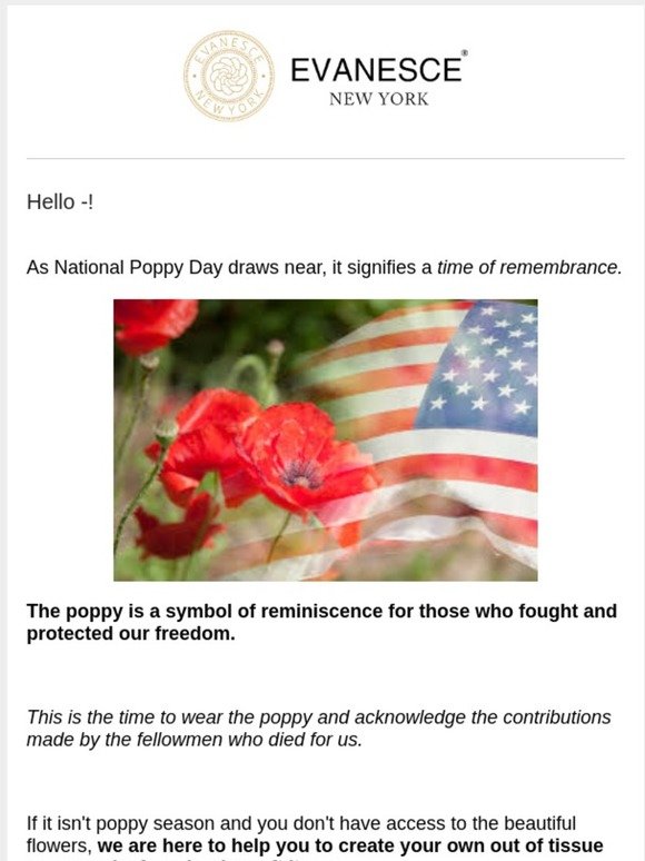Make a red poppy with things you have at home! 🇺🇸