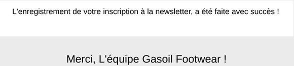 Succes Inscription à la newsletters