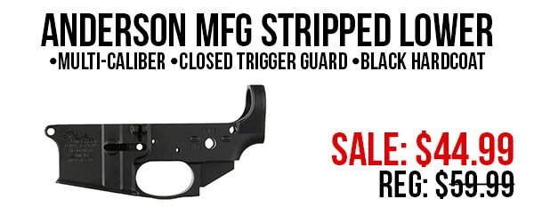 Anderson Mfg stripped lower