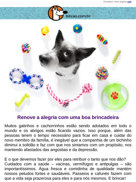 Brinquedos são importantes para os bichos 🐶🐱