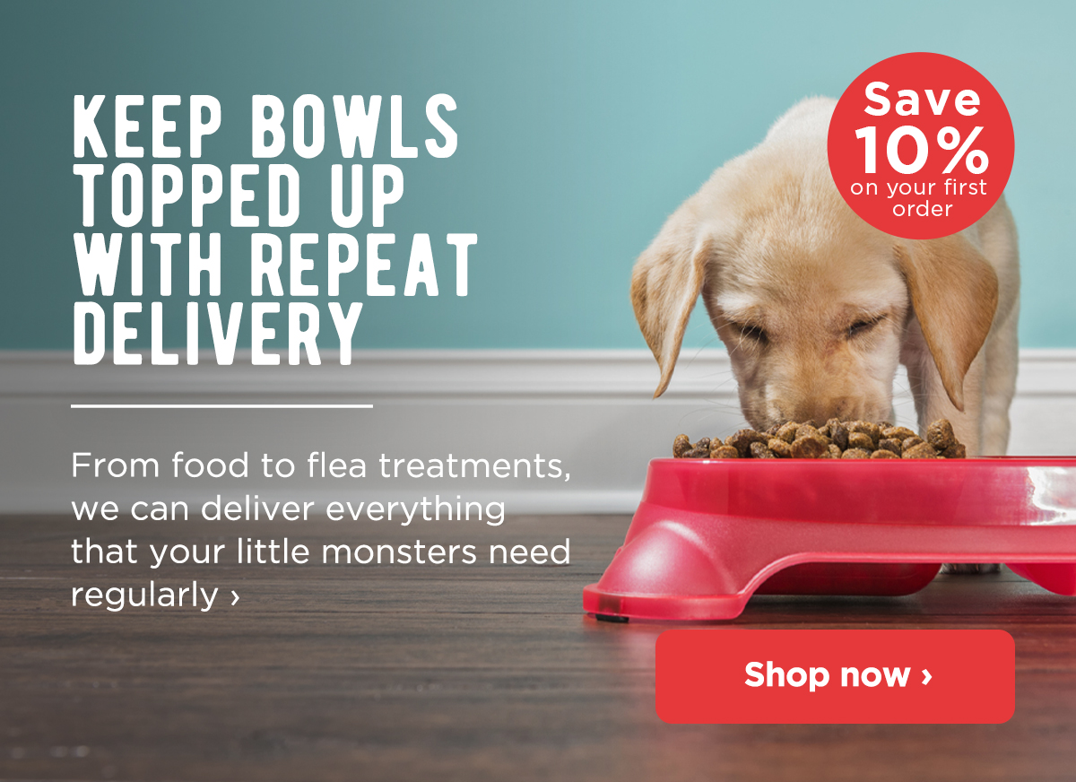 monster pets dog food