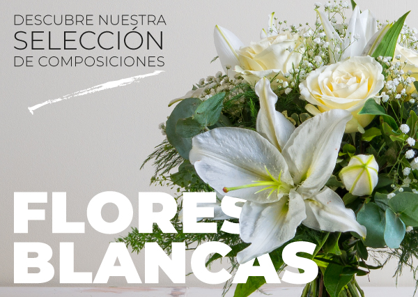 Interflora ES: ? Flores frescas y blancas para acompañarte en el verano! |  Milled