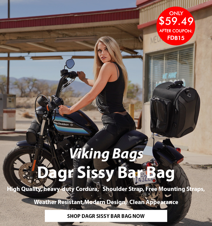 viking sissy bar bag