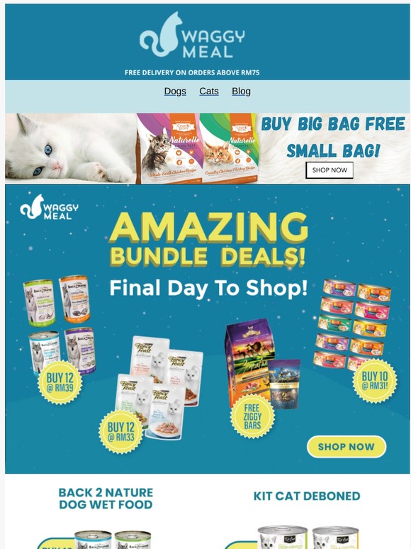 , Final Call For Best Deals!⏲