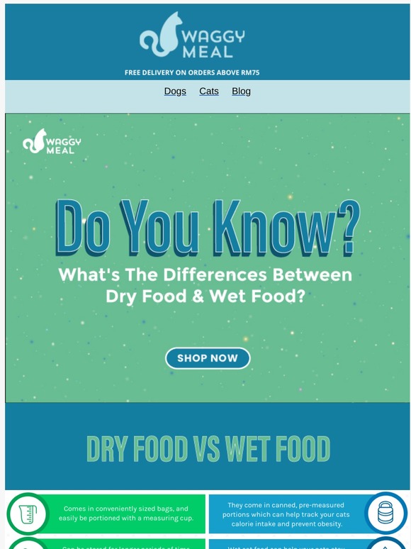, How Wet Food Differs From Dry Food?