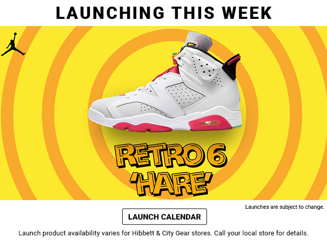 jordan 6 hibbett sports
