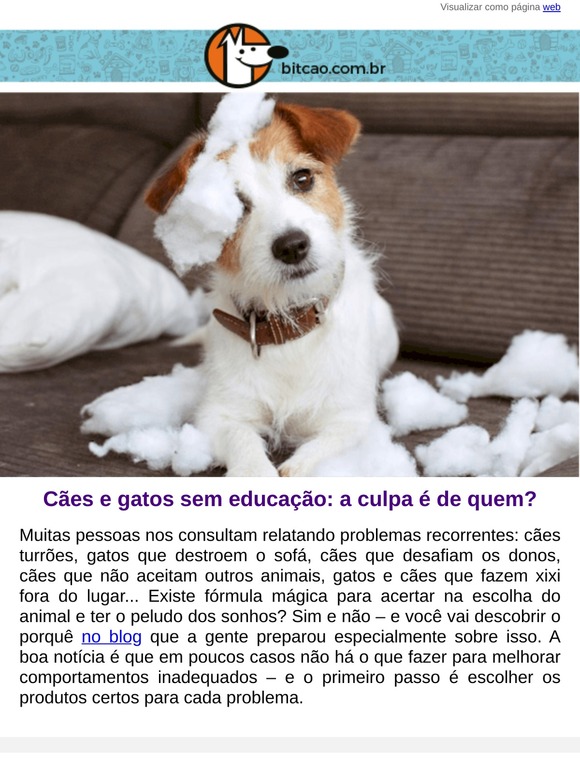 Seu peludo veio sem manual? 😈