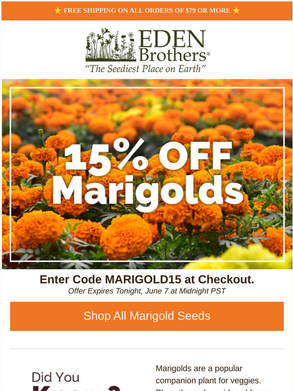 Eden Brothers Seed Company Marigold Mania! Enjoy 15 Off Marigold Seeds Milled