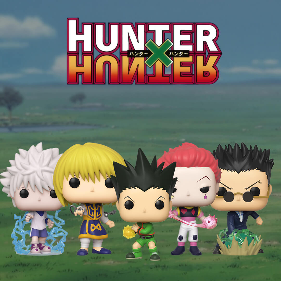 pop in a box hunter x hunter
