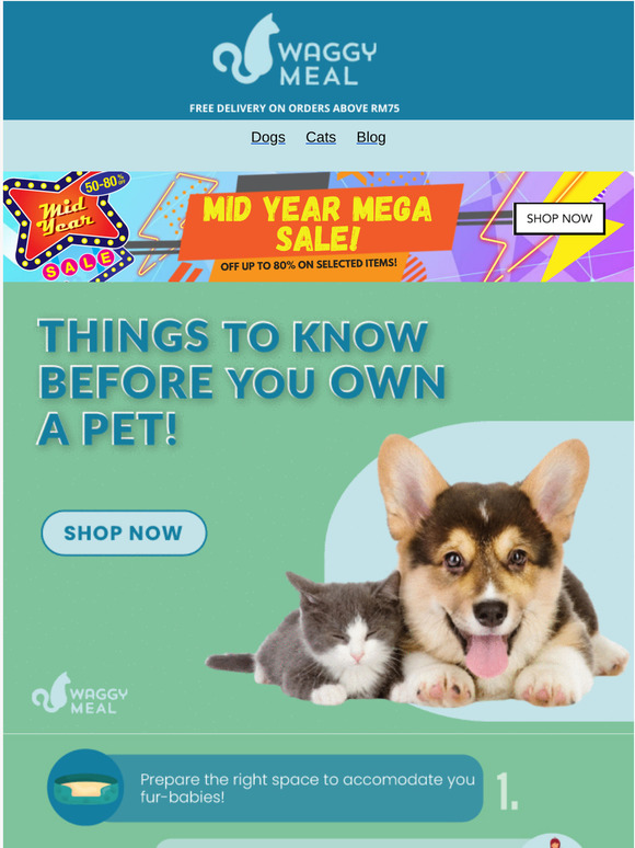 Things You Must Know About Your Furbaby!