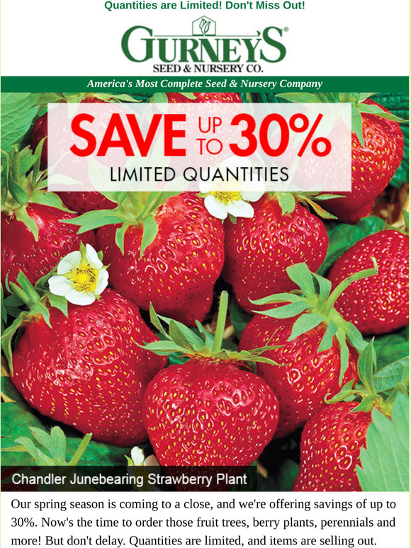 Gurney's Seed & Nursery: Yeah! Another Chance To Save! | Milled