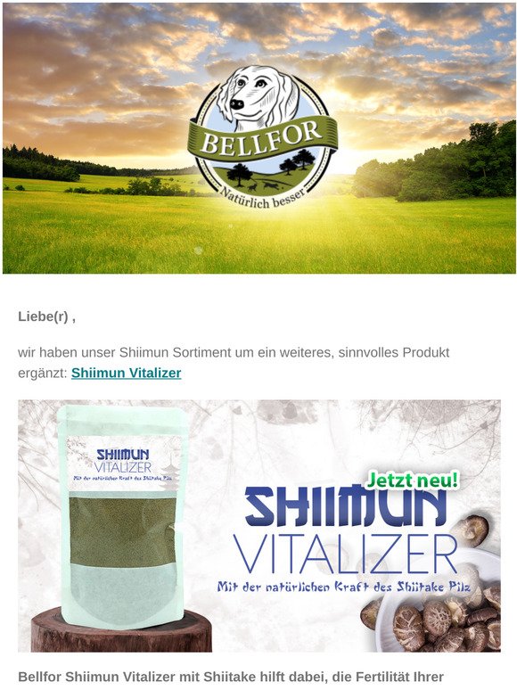 Neu von Bellfor – Shiimun Vitalizer – mit 10 % Rabatt!