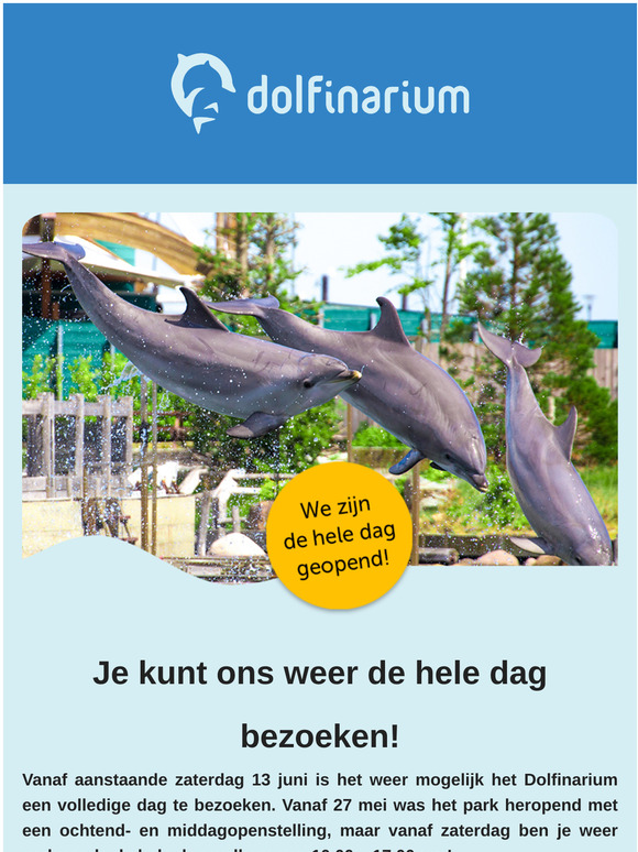 Een volledige dag in het Dolfinarium! 🐬 💦