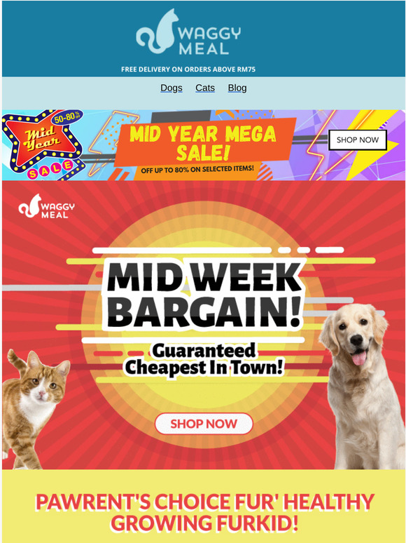 The Craziest Mid-Week Pet Bargain In Town!