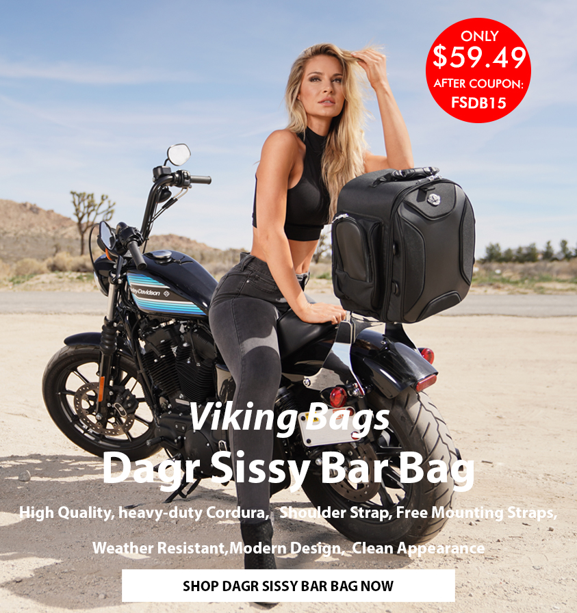 viking sissy bar bags