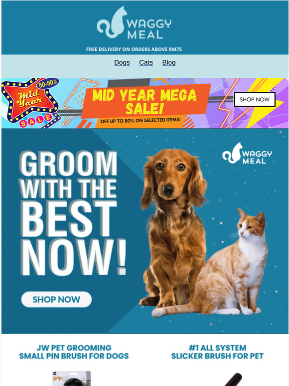 , Groom Your Pet Like A Master Now!