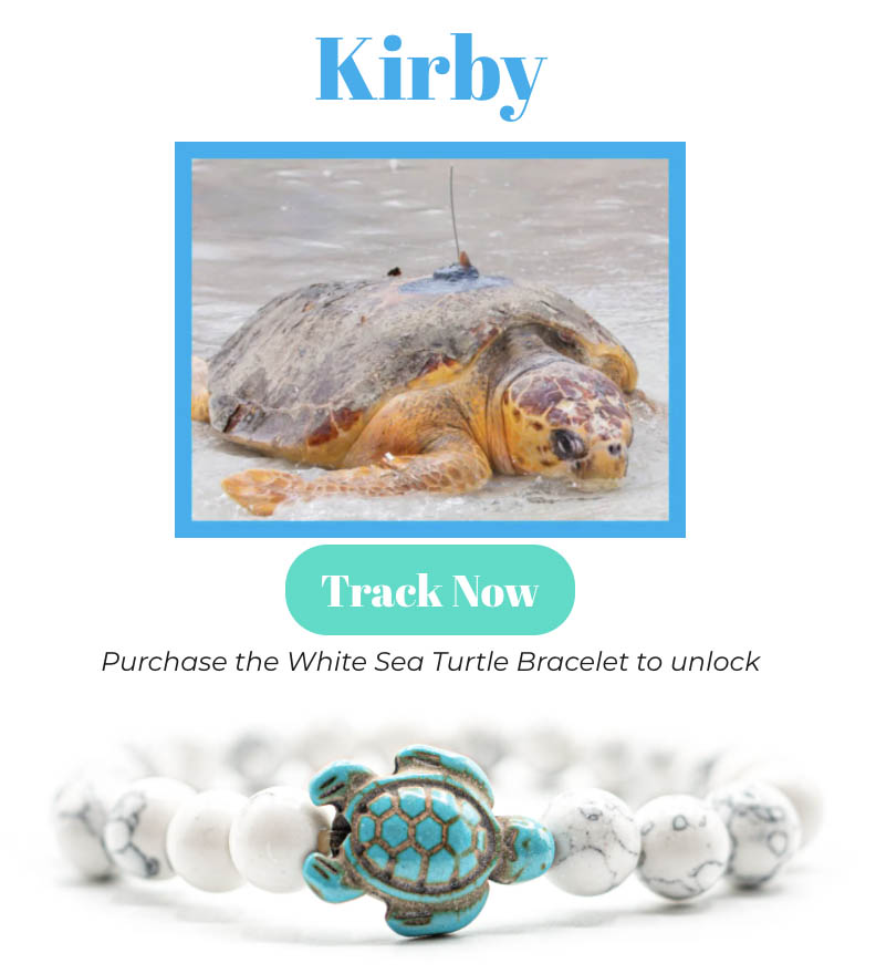 turtle bracelet tracking