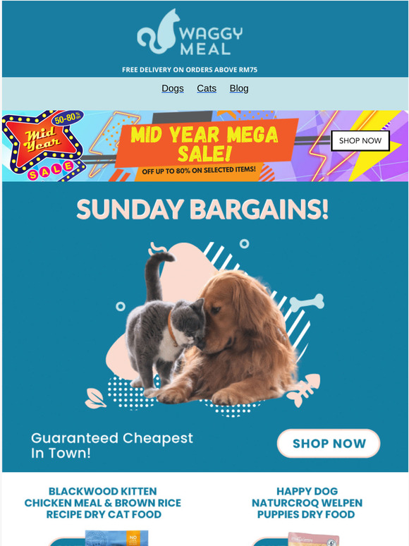 , Sunday Special For Your Fur-Babies!