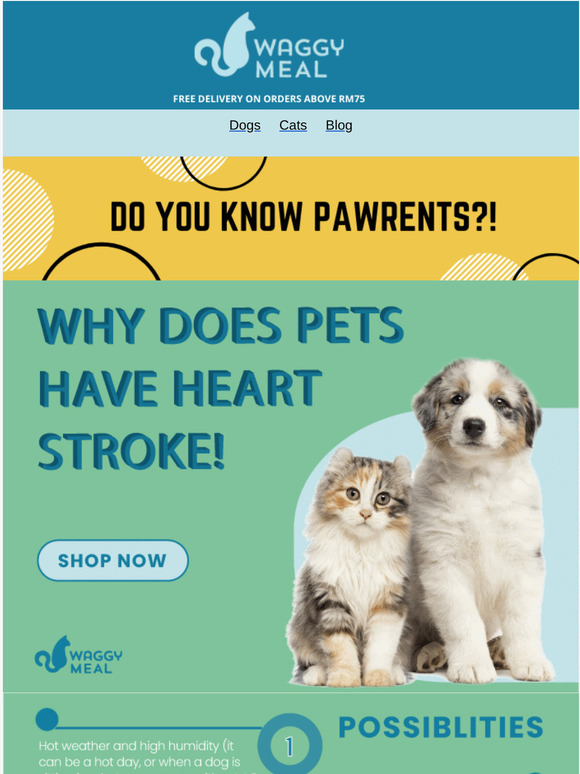 , Why Does Pets Have Heart Stroke?🐱