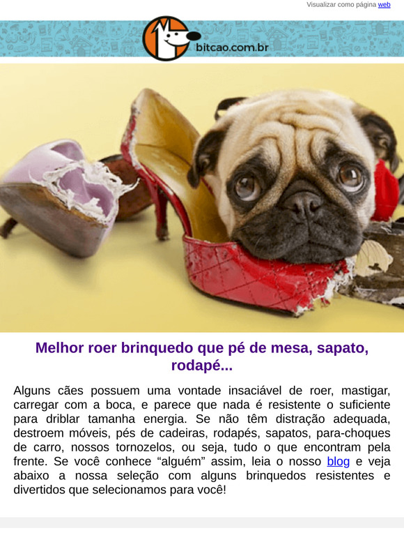 Seu cachorro rói até o pé da mesa?