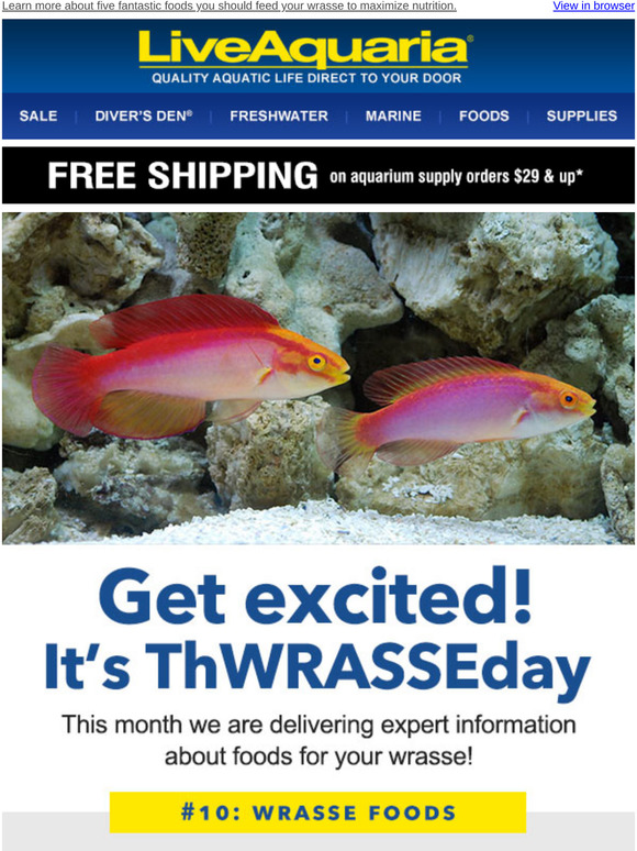 Top 5 Foods You Should be Feeding Your Wrasse Milled