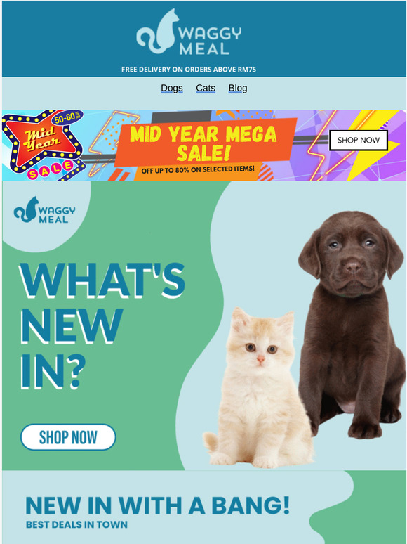 Have You Checked On Your Pets Needs?😵