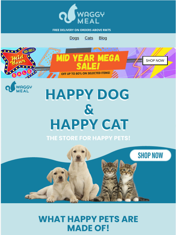 Do You Know How To Make Your Pets Happy?😻