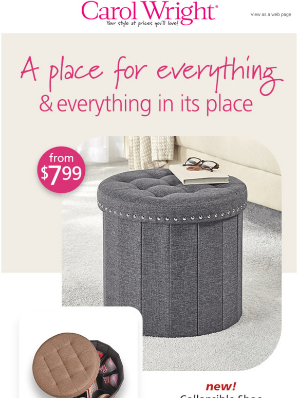 Dr. Leonard's Healthcare/Carol Wright Gifts All Your Storage Needs