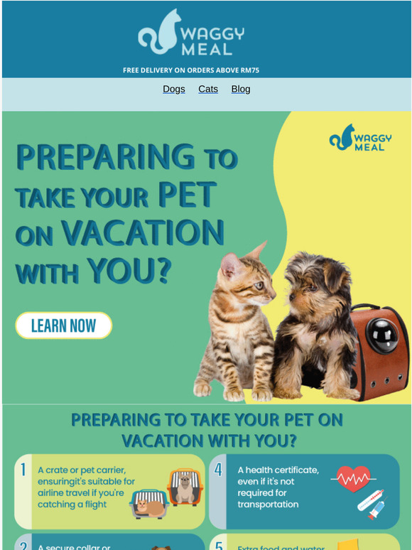 Are You Ready To Travel With Your Pets?😍