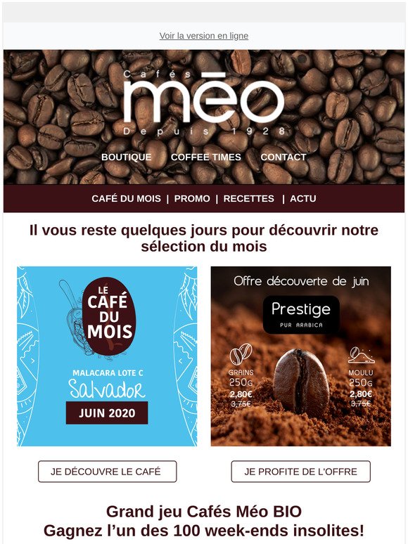 Cafés Méo: Votre nouvelle newsletter : café du mois, promo, recette au café  et toute l'actualité autour du café