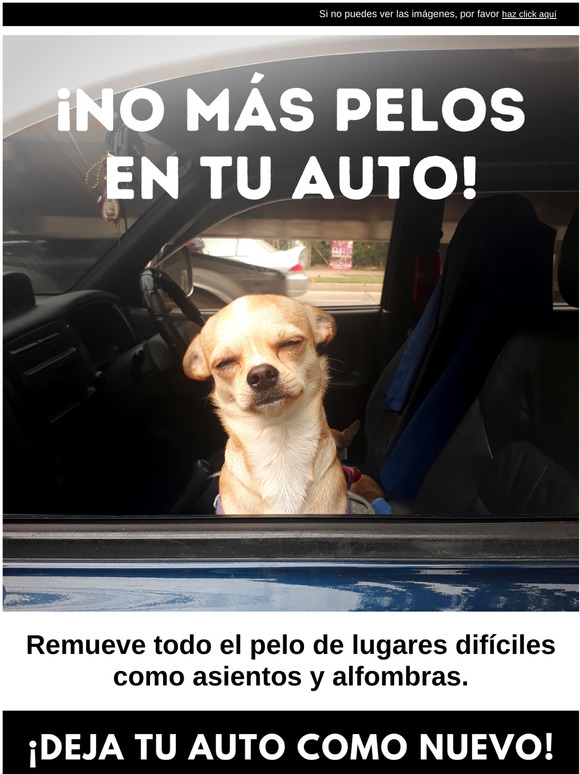 ¡Tu coche libre de pelos!  🚗 🐶