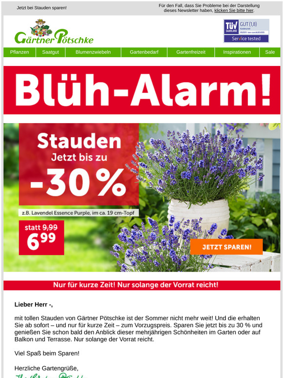 Pötschke Garten und Pflanzen Versand 🌞 Bis zu 30 im STAUDENSALE