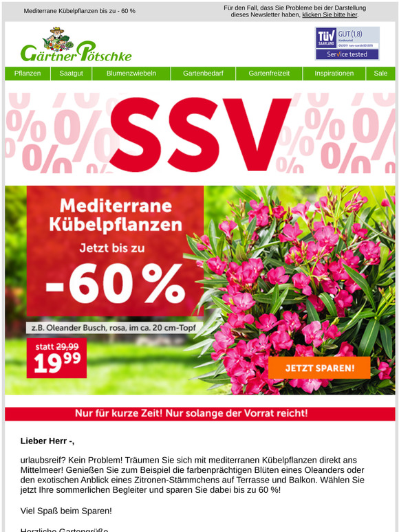 Pötschke Garten und Pflanzen Versand 🌴 Zaubern Sie Urlaubsflair auf