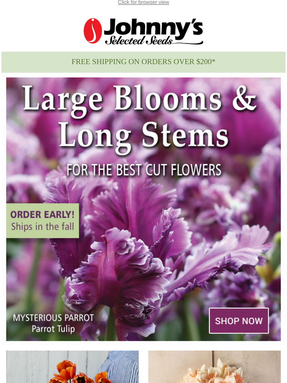 johnny's selected seeds Order Your FallPlanted Bulbs Now Milled