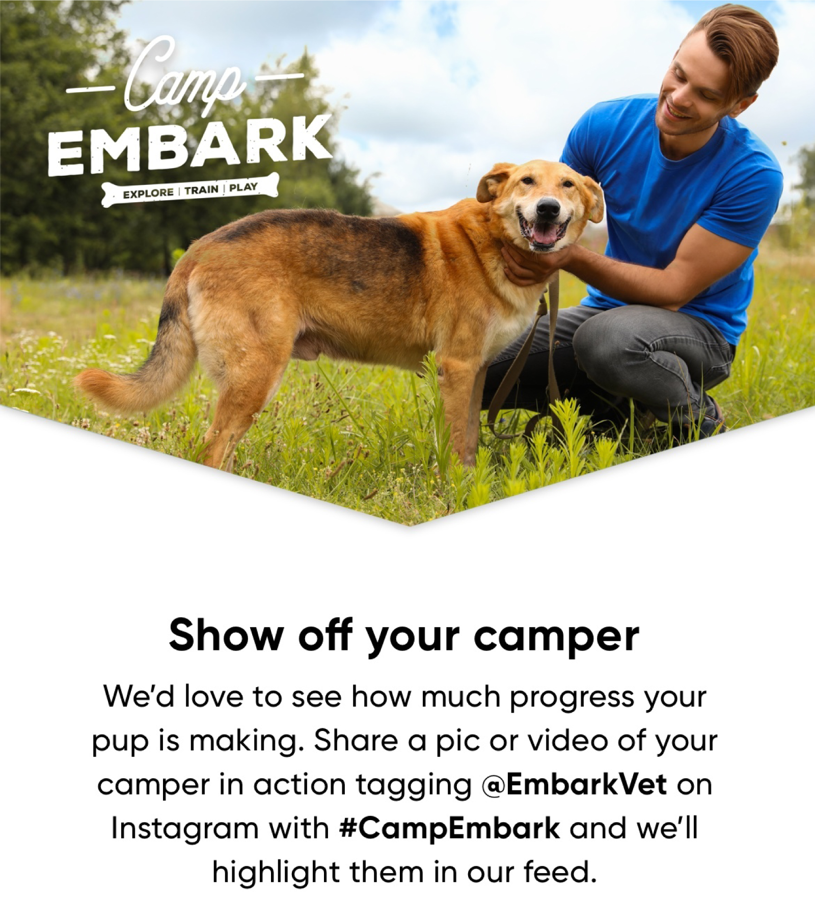 Embark Veterinary, Inc. Week 4 Boost your dog’s confidence Milled