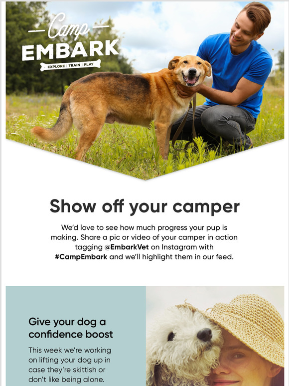 Embark Veterinary Week 4 Boost your dog’s confidence Milled