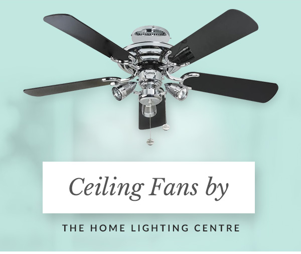 spotlight ceiling fans